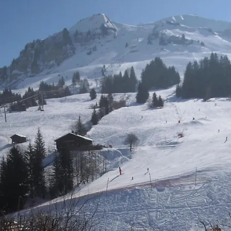 Apartment Near The Slopes Le Grand-Bornand